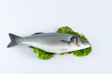 Sea bass on lettuce leaves on white background. Flat lay. Top view.