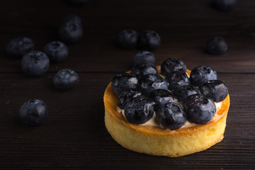 Rustic style blueberry tart on low key dark background