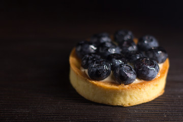 Rustic style blueberry tart on low key dark background