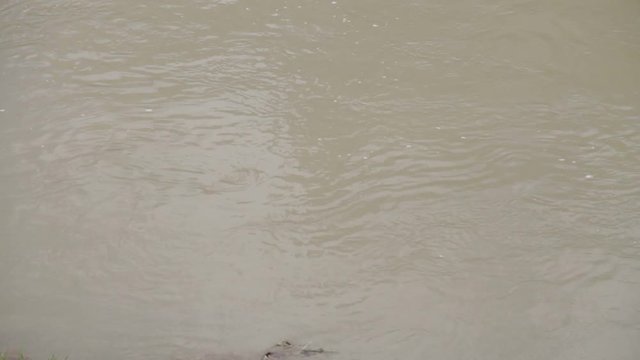 Fiume fangoso