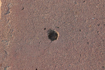 sidewalk, hole, crack, texture, concrete, yard