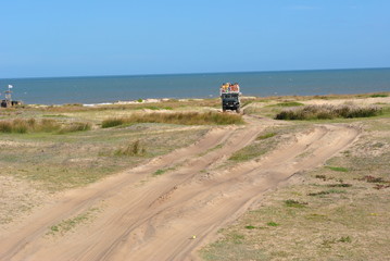 Fototapeta premium cabo polonio - uruguai