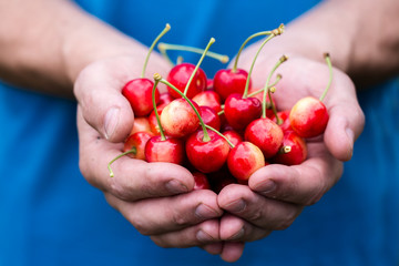 cherry in hand, close-up