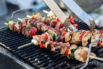 Close up pf delicious chicken breast on wooden skew with fresh vegetables, garlic, paprika fried on mangal barbeque grill