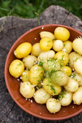 boiled potatoes with dill and garlic, top view