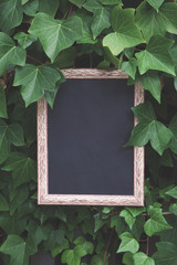 Frame for the photo. Black background. There is a place for your inscription. Mock up.