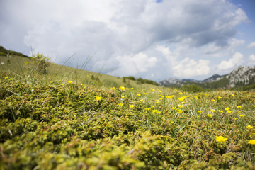 Plateau on Velebit mountain in Croatia