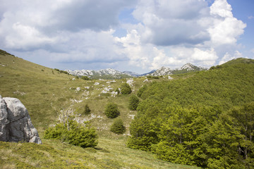 Fototapeta na wymiar Plateau on Velebit mountain in Croatia