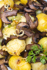 potato with mushrooms, close-up