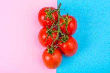 Branch of red tomatoes on bright background