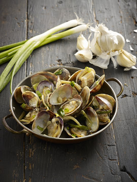 Clams
