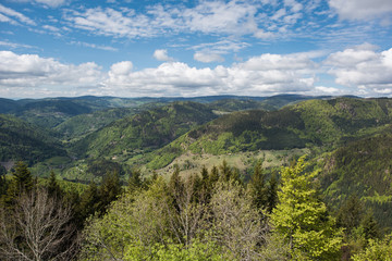 Landscape germany, black forest view from Hochkopf 1263m, Todtmoos