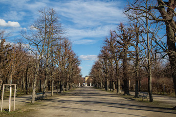 Fototapeta premium Allee im Winter