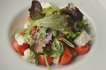 Healthy Salad