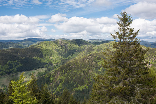 Landscape germany, black forest view from Hochkopf 1263m, Todtmoos