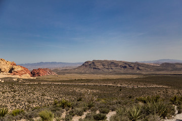 Desert 