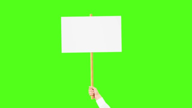 Blank white hand holding sign mockup on wooden stick on chroma key background. Empty signage protest placard in arm. Clear poster in hand on colored background template