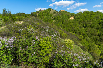 Landscape near rock formation Stob pyramids, Rila Mountain, Kyustendil region, Bulgaria