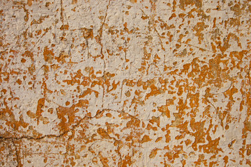 Fototapeta premium Textured Wall Surfaces