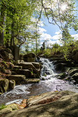 Frühling, Wasserfall, Ilsefälle im Harz