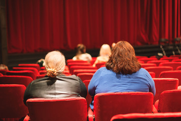 audience coming to theater show