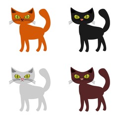 nice cat on white background 