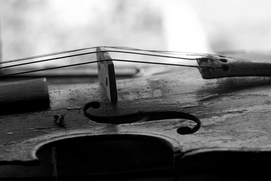 Close Up Of An Old Violin, Black And White