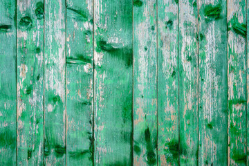 Amazingly beautiful old texture of a green wooden wall with cracked paint