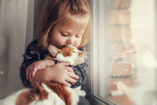 A small cute child with naked hair gently embraces a red fluffy cat