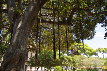 Shady square in the main garden in Trapani, Sicily, Italy