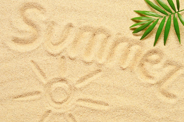 Sea sand with palm branch. Top view with copy space.