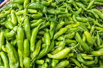chiles farmers market santa fe nm