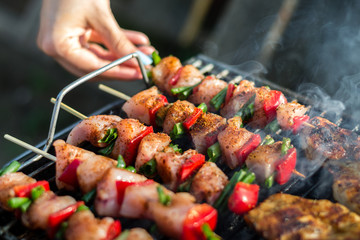 Close up pf delicious chicken breast on wooden skew with fresh vegetables, garlic, paprika fried on mangal barbeque grill