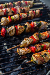 Close up pf delicious chicken breast on wooden skew with fresh vegetables, garlic, paprika fried on mangal barbeque grill