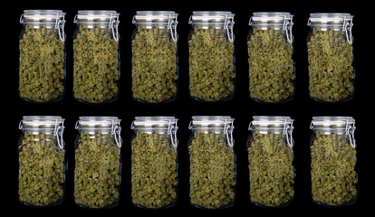 12 Three ounce jars of Indica