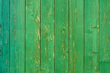 Amazingly beautiful old texture of a green wooden wall with cracked paint