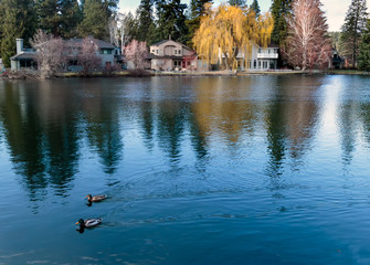 Mirror Pond