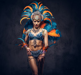 Studio portrait of a sexy female in a colorful sumptuous carnival feather suit. Isolated on a dark...