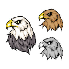 set of eagles. Bald eagle logo. Wild birds drawing. Head of an eagle. Vector graphics to design.