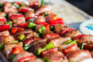 Close up pf delicious chicken breast on wooden skew with fresh vegetables, garlic, paprika fried on mangal barbeque grill