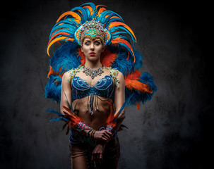 Fototapeta na wymiar Studio portrait of a sexy female in a colorful sumptuous carnival feather suit. Isolated on a dark background.