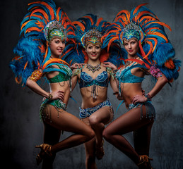 Group of a sexy girls in a colorful sumptuous carnival feather suit.