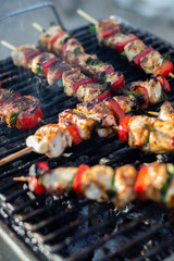 Close up pf delicious chicken breast on wooden skew with fresh vegetables, garlic, paprika fried on mangal barbeque grill