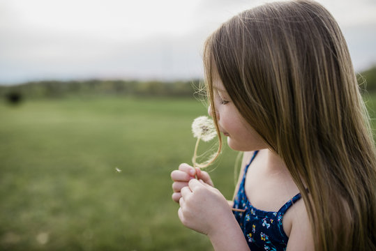 Side view of girl with dandelion flower on grassy field