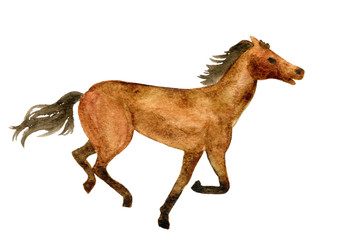 Running horse © Sveta_Aho