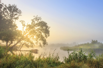 Obraz na płótnie Canvas Summer landscape of river bank in early morning at sunrise. Morning nature on river. Scenic view of beautiful river with rising sun behind the trees.
