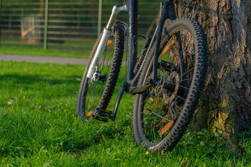 Fototapeta na wymiar Bike in green urban park at morning