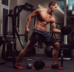 Naklejka premium Muscular bodybuilder man doing exercises on a biceps with dumbbells in a gym.