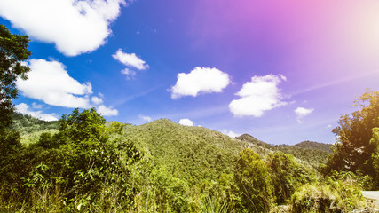 Tropical Landscape, Rain Forest Landscape, Summer Landscape, Beautiful Landscape