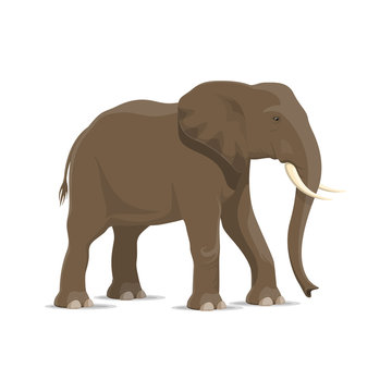 Elephant animal icon of african savanna mammal